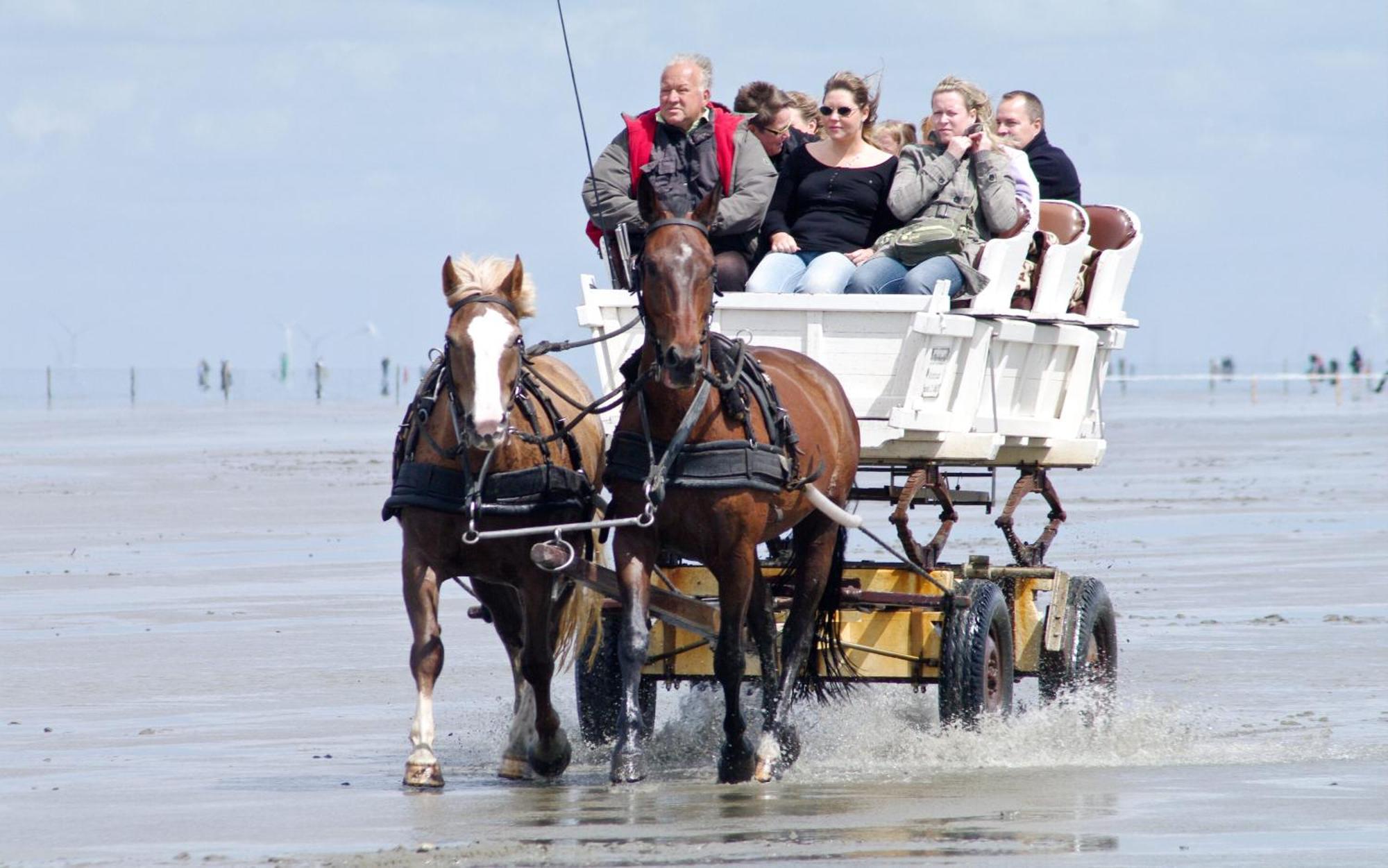 Haus Sonneneck 2 Cuxhaven